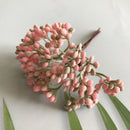GobekUsa Artificial Plants DIY Garland Craft Decoration Adornment Dried Plants 5g