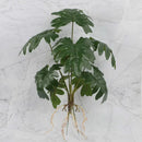 GobekUsa Green Plant Wall Set for Indoor Decoration