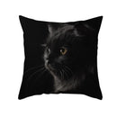 GobekUsa Black Cat Pillowcases - Cute Kitty Animal Lover Cushion Cover