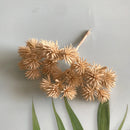 GobekUsa 6pcs Dried Flower Mix for Jewelry Making & Aromatherapy Candle Crafts