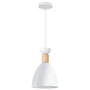 GobekUsa LED Industrial Pendant Lamp for Stylish Living Room & Bedroom Decor Lighting