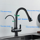 GobekUsa Black Dual Modes Kitchen Faucet 2 in 1 Pure Water Mixer Tap