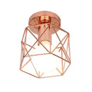 GobekUsa Industrial Ceiling Light - Modern Nordic Iron Lamp Shade for Home Decor