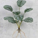 GobekUsa Green Plant Wall Set for Indoor Decoration