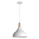 GobekUsa LED Industrial Pendant Lamp for Stylish Living Room & Bedroom Decor Lighting
