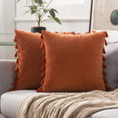 GobekUsa Fringed Tassel Velvet Pillowcase 50x50cm/30x50cm in Popular Light Colors