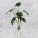 GobekUsa Green Plant Wall Set for Indoor Decoration