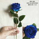 GobekUsa Dried Roses Artificial Flowers for Home Decor and Weddings