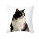 GobekUsa Black Cat Pillowcases - Cute Kitty Animal Lover Cushion Cover