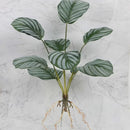 GobekUsa Green Plant Wall Set for Indoor Decoration