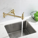 GobekUsa Brushed Gold Pot Filler Tap Wall Mounted Kitchen Faucet Single Cold Spout