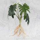GobekUsa Green Plant Wall Set for Indoor Decoration
