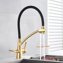 GobekUsa Dual Spout Kitchen Faucet with Water Purification and Flexible Rotation