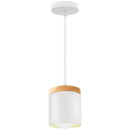 GobekUsa LED Industrial Pendant Lamp for Stylish Living Room & Bedroom Decor Lighting