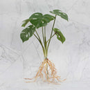 GobekUsa Green Plant Wall Set for Indoor Decoration