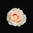 GobekUsa 30PCS Silk Roses Wedding Decor DIY Home Decoration, Brooch Gifts, Candy Box
