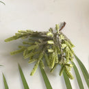 GobekUsa Greenery Berry Stamen Bundle for DIY Christmas Decor & Gift Wrapping