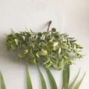 GobekUsa Greenery Berry Stamen Bundle for DIY Christmas Decor & Gift Wrapping