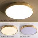 GobekUsa Copper Thin LED Round Ceiling Light for Bedroom, Living Room, and Dining Room