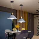 GobekUsa Industrial Gray Pendant Light with LED for Living Room, Foyer - Modern Luminaire