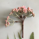 GobekUsa Artificial Plants DIY Garland Craft Decoration Adornment Dried Plants 5g