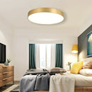GobekUsa Gold Acrylic LED Ceiling Light - Modern Ultra-Thin Surface, Nordic Design