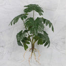 GobekUsa Green Plant Wall Set for Indoor Decoration