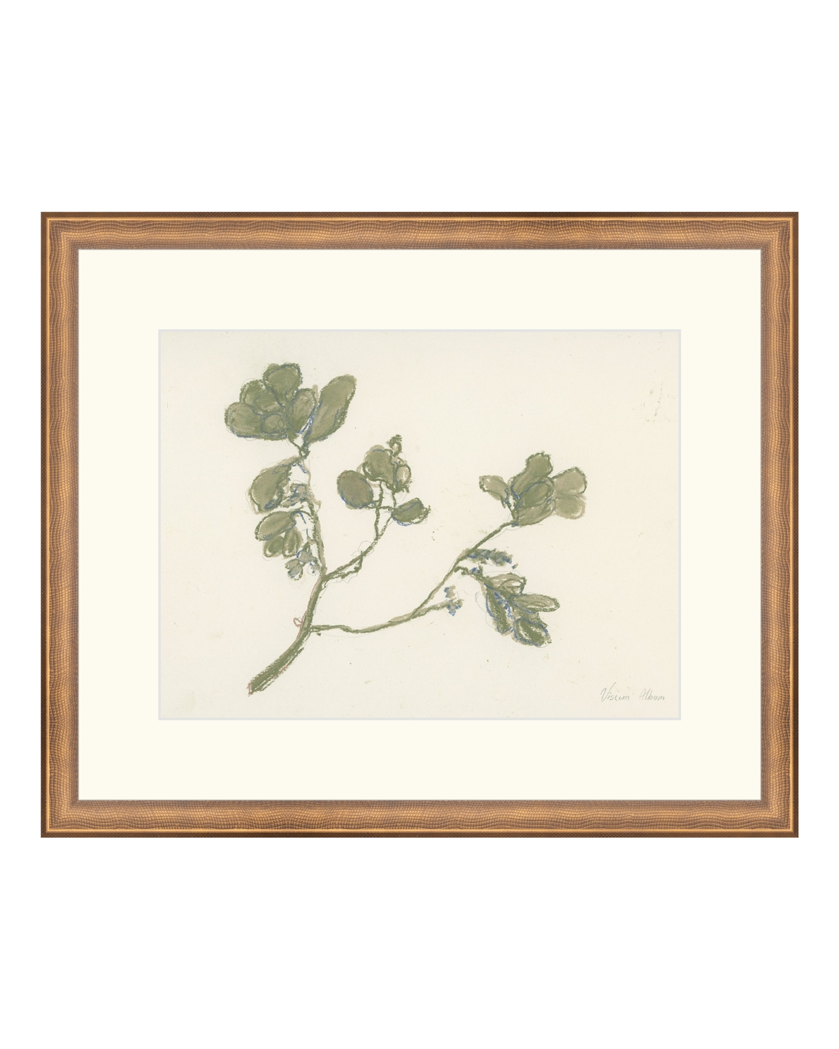 Pastel Mistletoe, photo 17 of 28