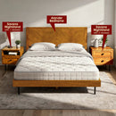 Savana Solid Wood 2-Drawer Nightstand by Megsu