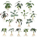 GobekUsa Green Plant Wall Set for Indoor Decoration