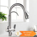 GobekUsa Antique Brass 2-in-1 Kitchen Faucet with Pull Out Nozzle and Purification