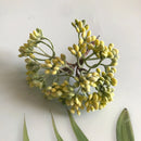 GobekUsa Artificial Plants DIY Garland Craft Decoration Adornment Dried Plants 5g