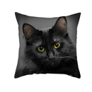 GobekUsa Black Cat Pillowcases - Cute Kitty Animal Lover Cushion Cover