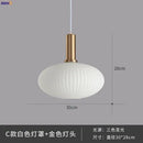 GobekUsa Glass Pendant Lights: Modern Nordic Style LED Pendant Lamp for Bedroom, Living, Dining Room