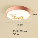 GobekUsa Kids Cartoon Acrylic Ceiling Light with Remote Control LED Girl Children's Room Lighting