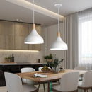 GobekUsa LED Industrial Pendant Lamp for Stylish Living Room & Bedroom Decor Lighting