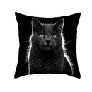 GobekUsa Black Cat Pillowcases - Cute Kitty Animal Lover Cushion Cover