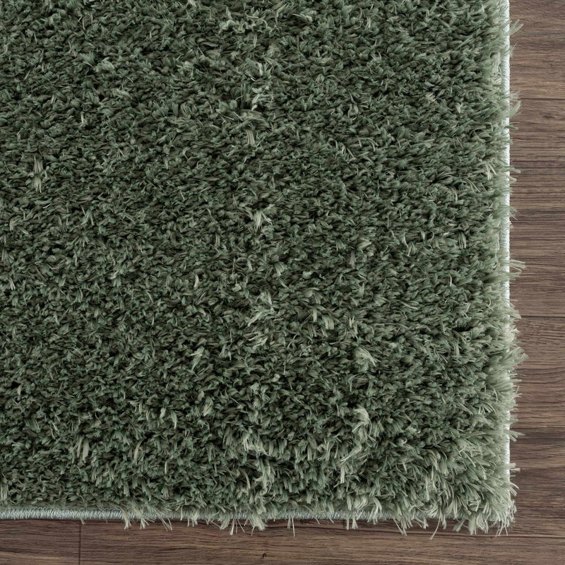 Faina Solid Green Shag Washable Area Rug - Clearance