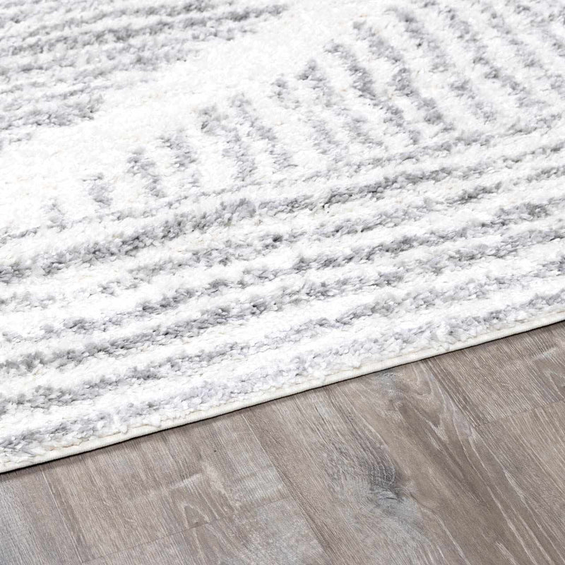 Trunding Plush Area Rug in Gray