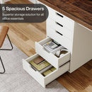 Two Person Desk with 5 Drawers