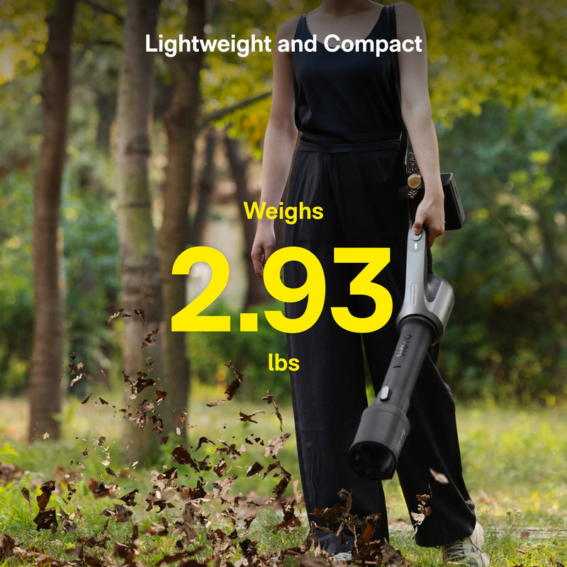20V Cordless Leaf Blower