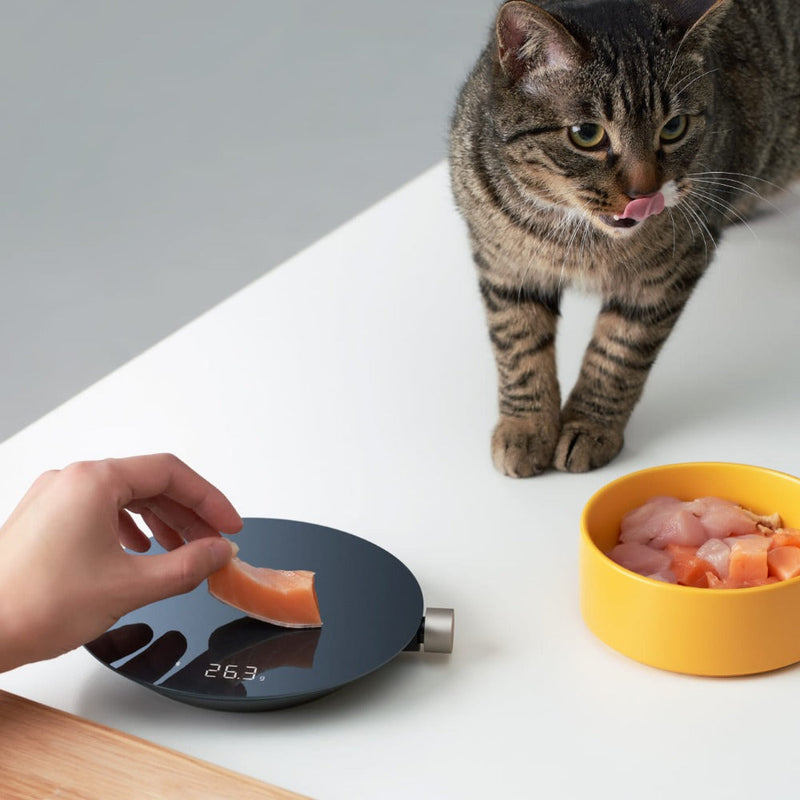 Smart Kitchen Scale, photo 3 of 7