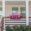 Lifelike Petunia Window Box Filler
