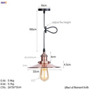 GobekUsa Gold Retro Edison LED Pendant Lights for Dinning Living Room Industrial Decor