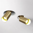 GobekUsa LED Golden Ceiling Spotlight for Living & Dining Room - Modern Luminaria Lamp