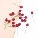 GobekUsa Foam Cherry Artificial Fruits - Set of 10 Pieces for DIY, Decor, and Gifts