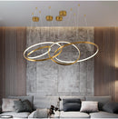 Large Ring Stainless Steel Light Fixture for Living Room, Hall, Staircase, Foyer, Stairwell