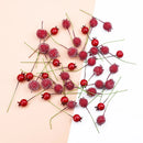 GobekUsa Foam Cherry Artificial Fruits - Set of 10 Pieces for DIY, Decor, and Gifts