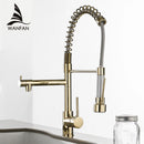 GobekUsa Gold Spring Spout Kitchen Faucet - Single Pull Out Mixer Tap