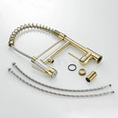 GobekUsa Gold Spring Spout Kitchen Faucet - Single Pull Out Mixer Tap